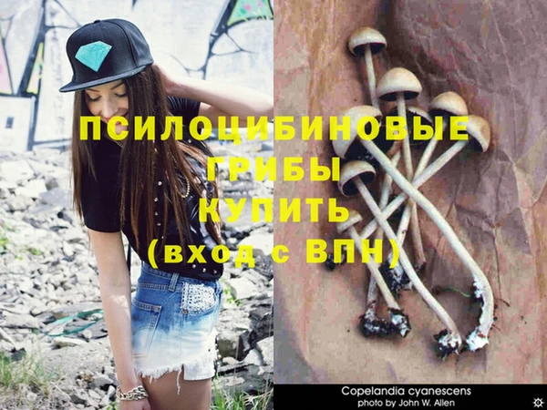 PSILOCYBIN Абдулино