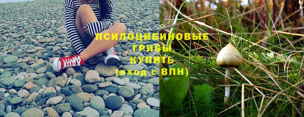 PSILOCYBIN Абдулино